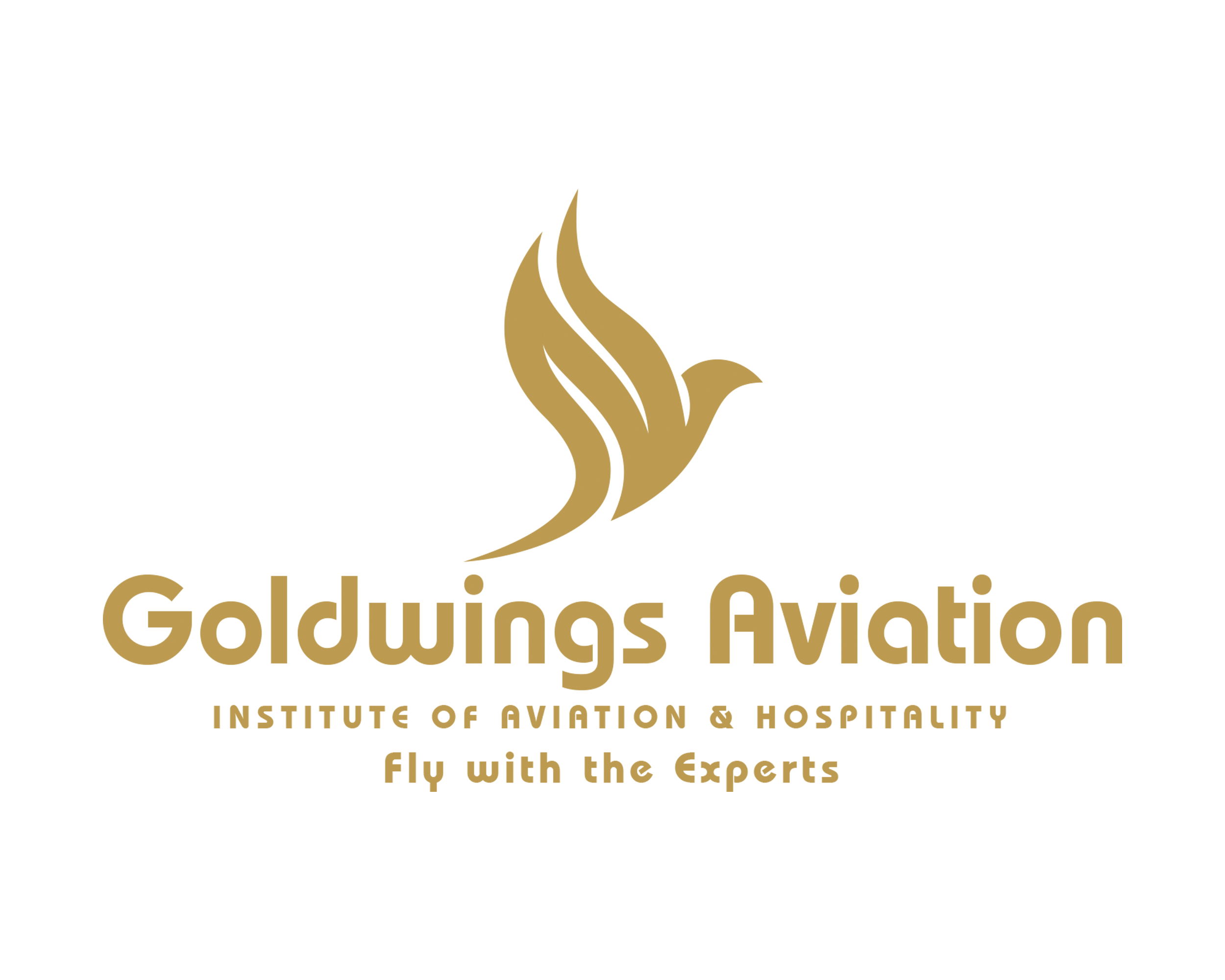 GOLDWINGS AVIATION
